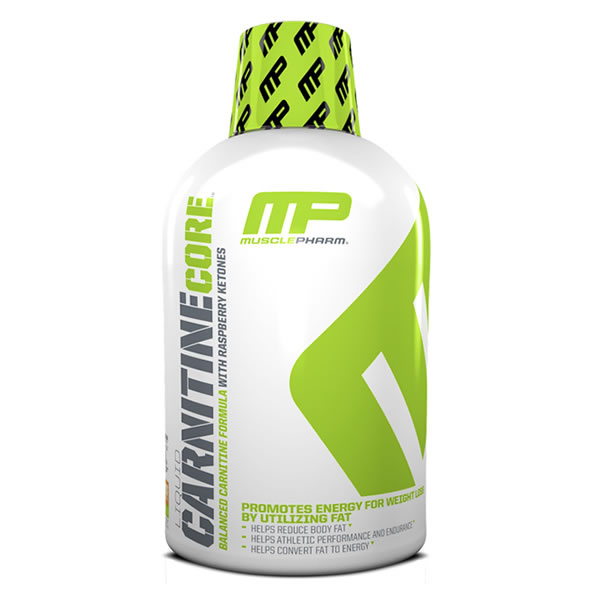 carnitine core mp