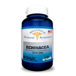 ECHINACEA 250 MG X 60 SOFT NATURAL SYSTEMS