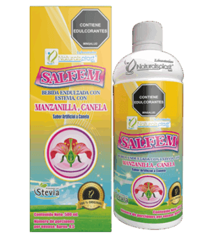 SALFEM X 500 ML C/CAJA