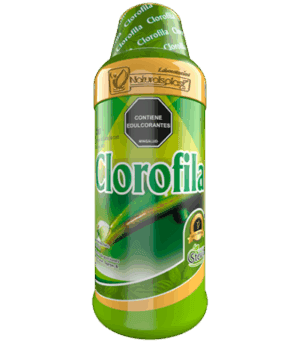 CLOROFILA X 1000 FUNDA