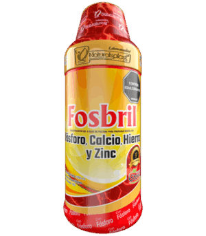 FOSBRIL X 1000 FUNDA