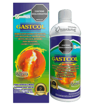 GASTGEN X 500 ML