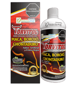 TORVITOL X 500 CON CAJA
