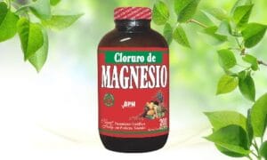 CLORURO DE MAGNESIO FMILIAR X 200 CAP