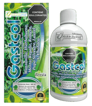 GASTCOL X 400 ML